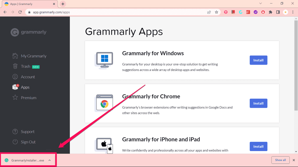 Grammarly Installer Downloaded File