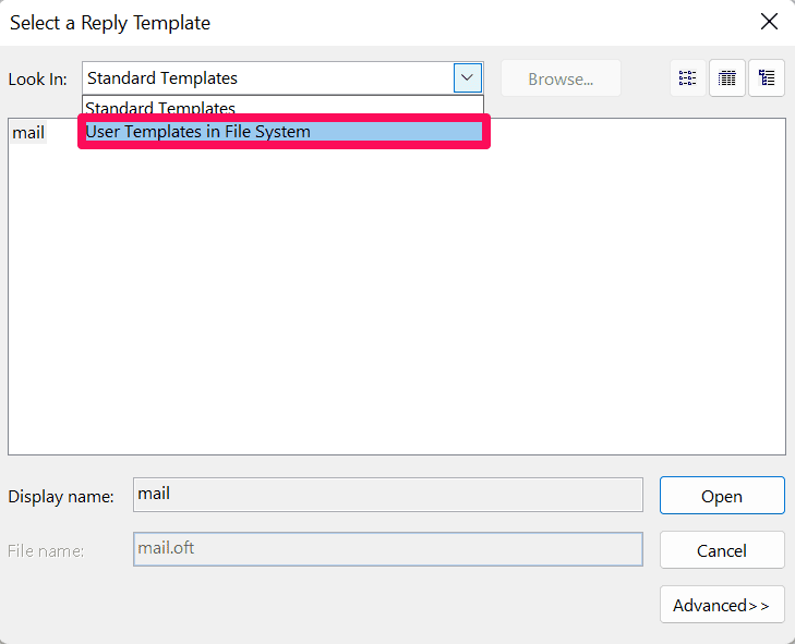 User Templates in File System Under Look In
